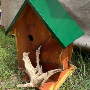 Tinicum-Birdhouse